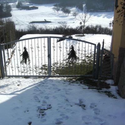 Bild0808